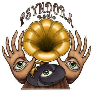 Psyndora Chillout logo
