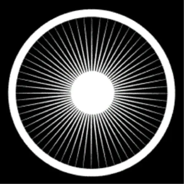 Dr. Dick's Dub Shack logo