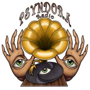 Psyndora Chillout logo
