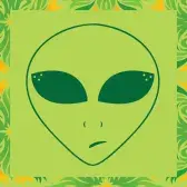 Ambinature Radio logo