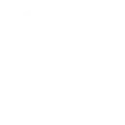 20ft Radio logo